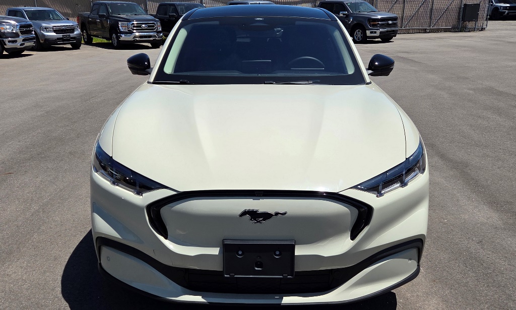 2025 Ford Mustang-Mach-e Premium's photo